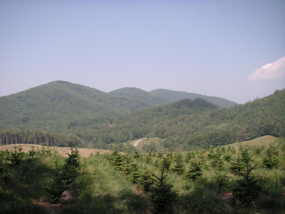 阿鲁温特马厩加小屋酒店 Cullowhee 外观 照片