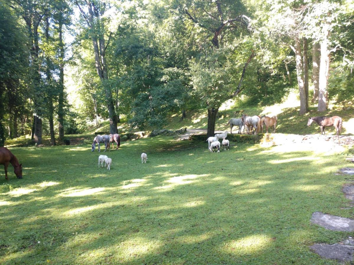 阿鲁温特马厩加小屋酒店 Cullowhee 外观 照片